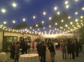 Lighting Party Rentals - Party Rental Los Angeles CA